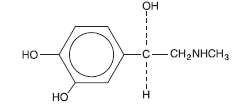 A3501-17 CONTINUOUS EPIDURAL 17G TUOHY